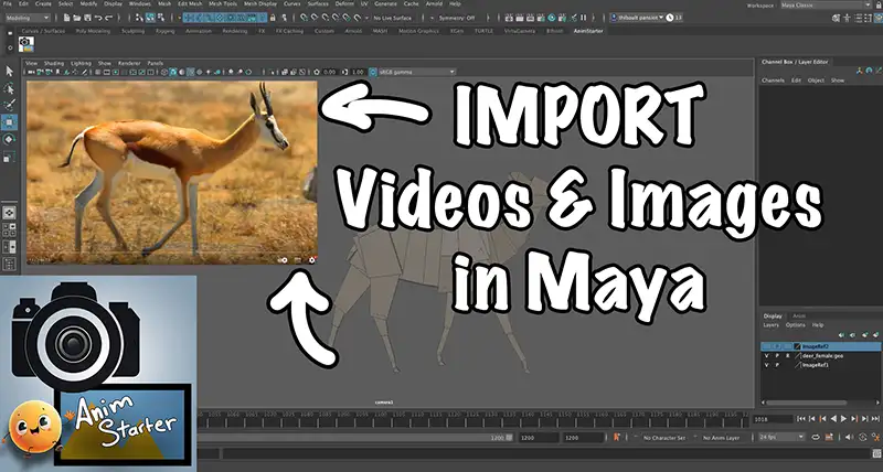 ImageRef — Import Videos & Images in Maya